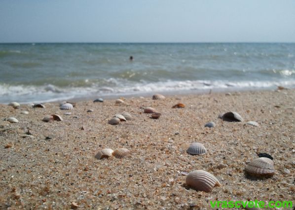 пляж на Азовском море (Новопетровка)