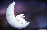 Moon Rabbitt