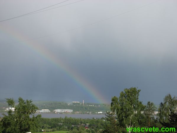 IMG_7168.JPG