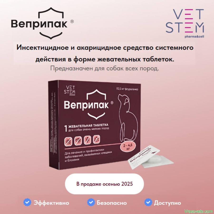 Веприпак купить: почему ветеринары рекомендуют новую таблетку от клещей в 2025 году